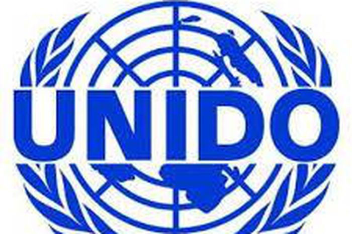 United Nations Industrial Development Organization (UNIDO)
