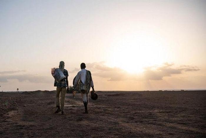 International Organization for Migration (IOM)