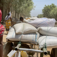 World Food Programme (WFP)