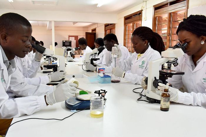 medical-laboratory-schools-in-Uganda