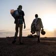 International Organization for Migration (IOM)