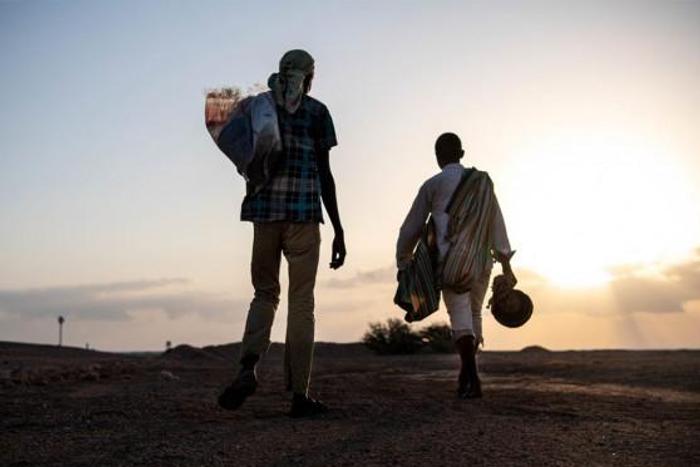 International Organization for Migration (IOM)