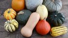 Choosing the best squash (Co+op, welcome to the table)
