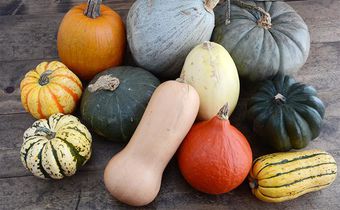 Choosing the best squash (Co+op, welcome to the table)