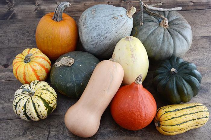Choosing the best squash (Co+op, welcome to the table)