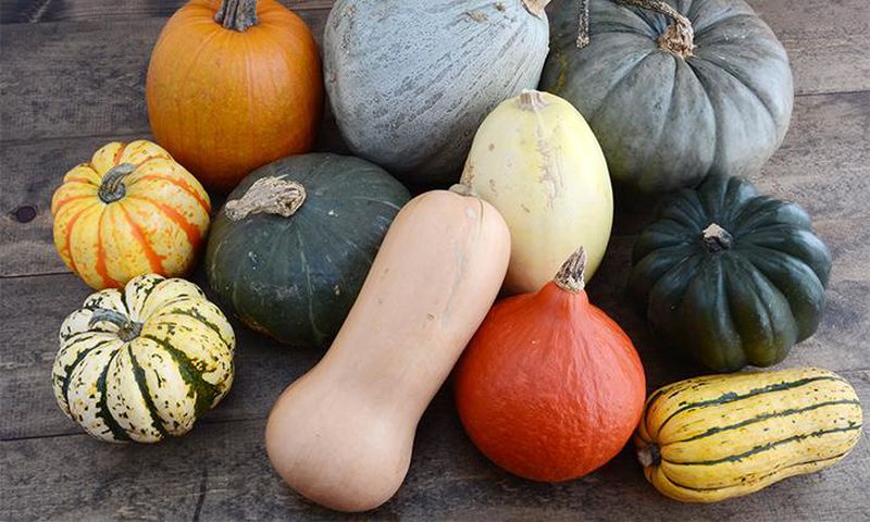 Choosing the best squash (Co+op, welcome to the table)