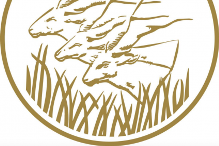 African Energy Chamber