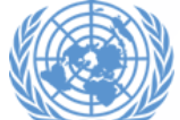 United Nations Country Team (UNCT), Zimbabwe