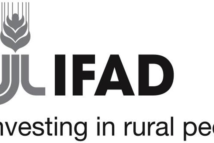International Fund for Agricultural Development (IFAD)