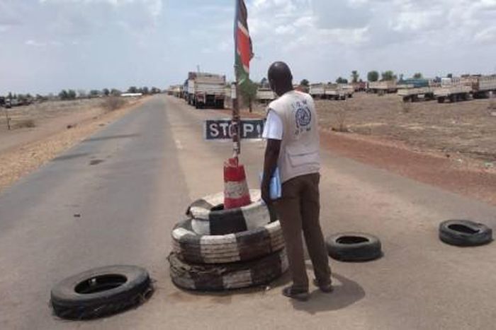 International Organization for Migration (IOM)