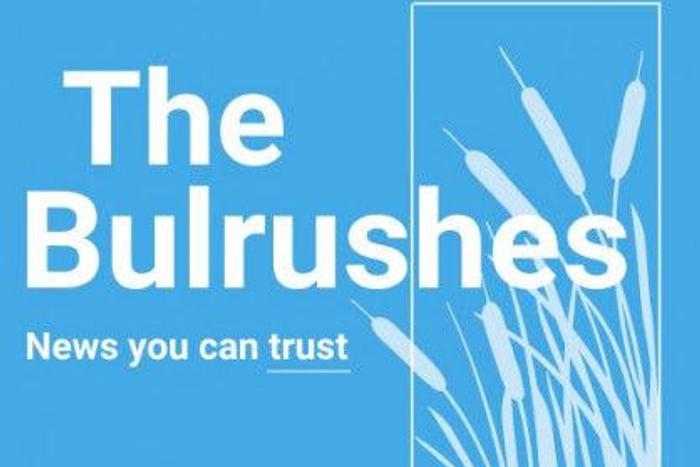The Bulrushes