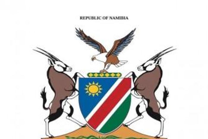 Ministry of Health and Social Services, Namibia