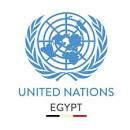 United Nations In Egypt