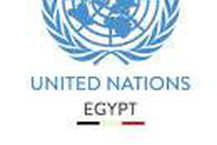 United Nations In Egypt