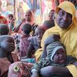 United Nations High Commissioner for Refugees (UNHCR)