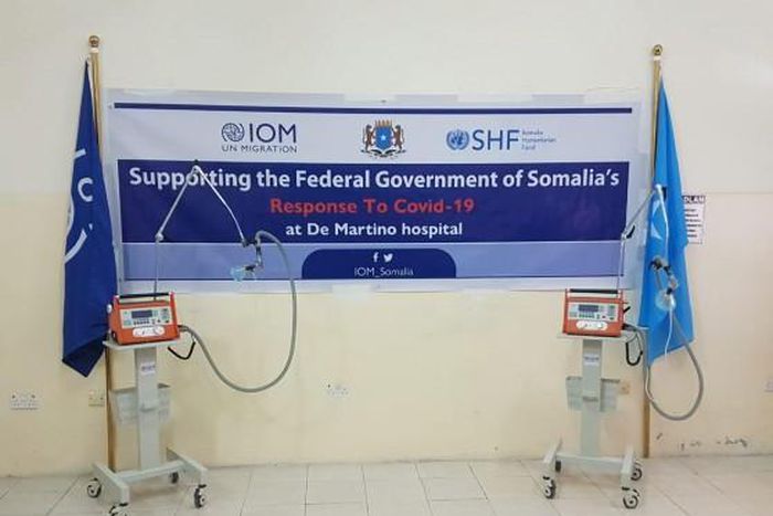 International Organization for Migration (IOM)