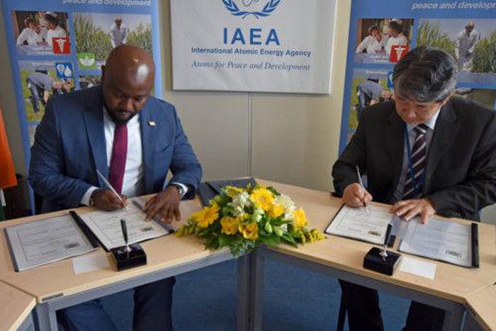 International Atomic Energy Agency (IAEA)