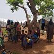 International Organization for Migration (IOM)