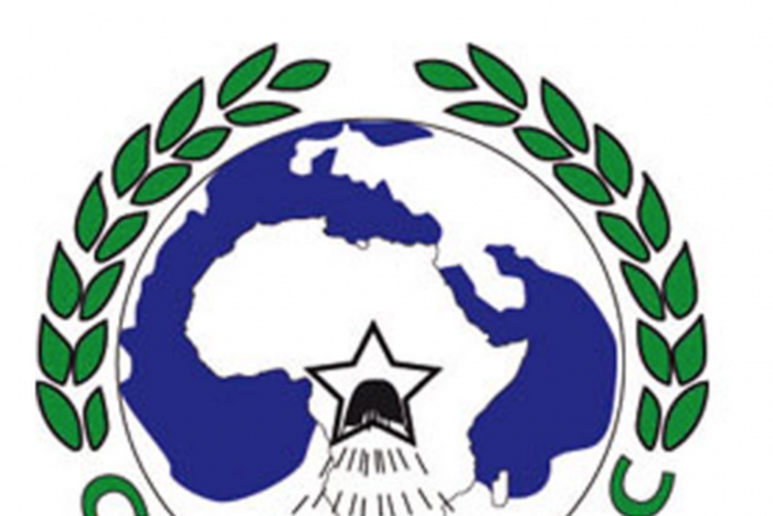 African Energy Chamber