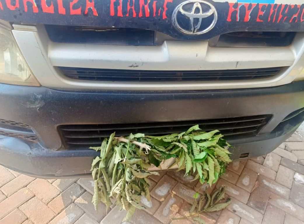 They deliberately obscured plates