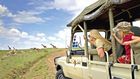 UTB has suspended the licences of 18 tour and travel companies