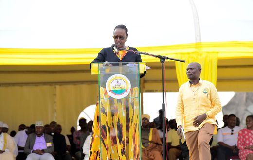 Minister of State for Luwero Triangle, Hon. Alice K. Kaboyo