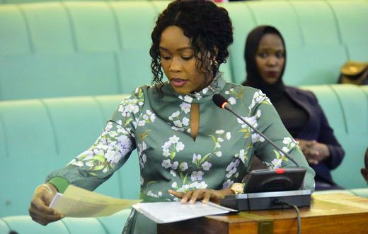 The Sexual Offences Bill, 2024, currently being considered by Parliament was drafted by Soroti District Woman Representative, Anna Adeke.
