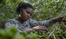 A coffee farmer from western Uganda