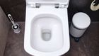 A photo of a toilet bowl