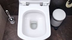 A photo of a toilet bowl