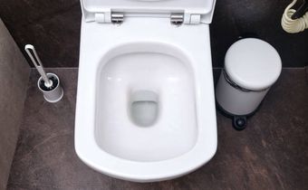 A photo of a toilet bowl