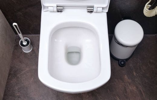A photo of a toilet bowl
