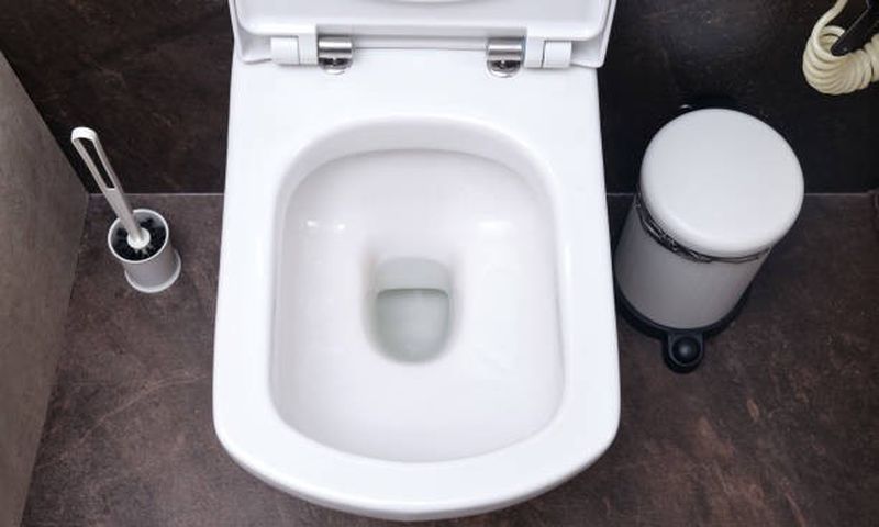 A photo of a toilet bowl
