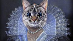 Nala, the richest cat in the world [PainInTheBud]