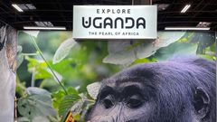 The Uganda Embassy, alongside key industry players such as Gorilla Tours Ltd, Safari to East, and Bantu Travel, is promoting the country's rich tourism potential
