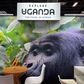 The Uganda Embassy, alongside key industry players such as Gorilla Tours Ltd, Safari to East, and Bantu Travel, is promoting the country's rich tourism potential