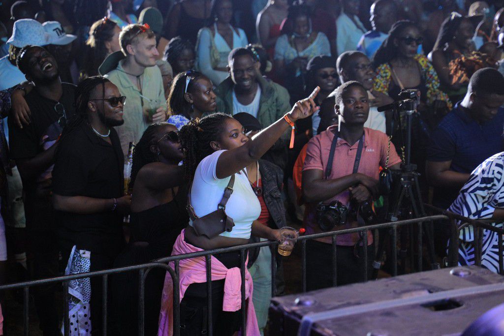 Revelers enjoying the previous edition of Blankets and Wine