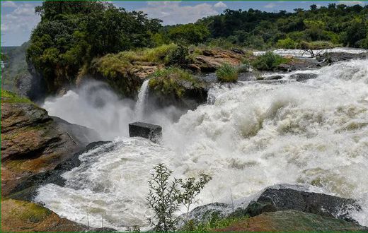 Murchison Falls