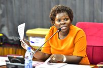 Gorreth Namugga engaging with the team from the foreign affairs ministry