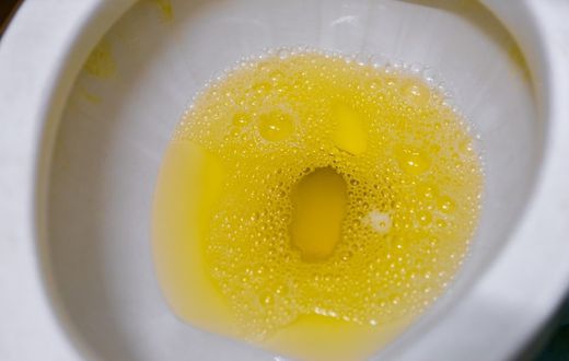 Why your urine is yellow [Adobestock]