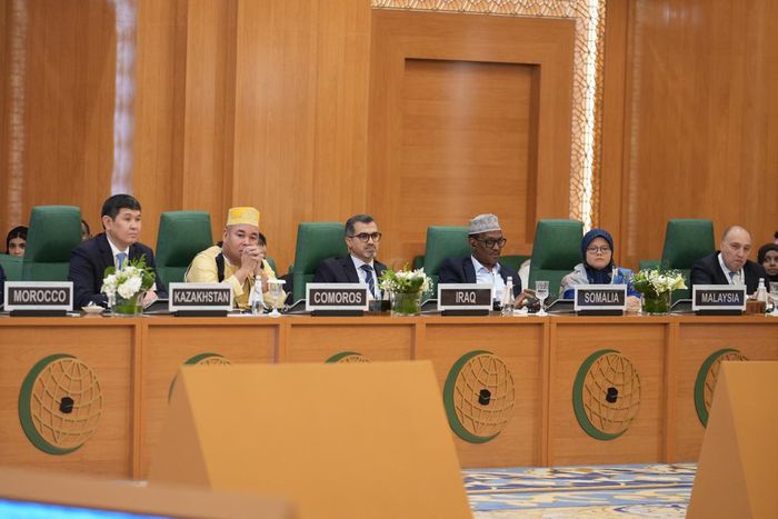 5 African countries set to benefit from Saudi's $1.1 Billion fund for refugees, displaced Persons