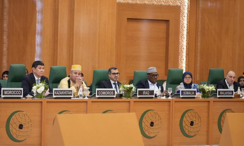 5 African countries set to benefit from Saudi's $1.1 Billion fund for refugees, displaced Persons