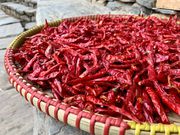 Uganda has been cleared to export dried chillies to China