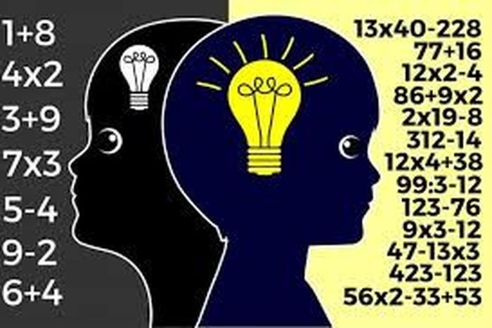 Low IQ- Premium Times Opinions