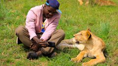Source Garland watching Netflix with a lion.