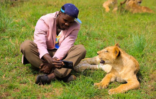 Source Garland watching Netflix with a lion.