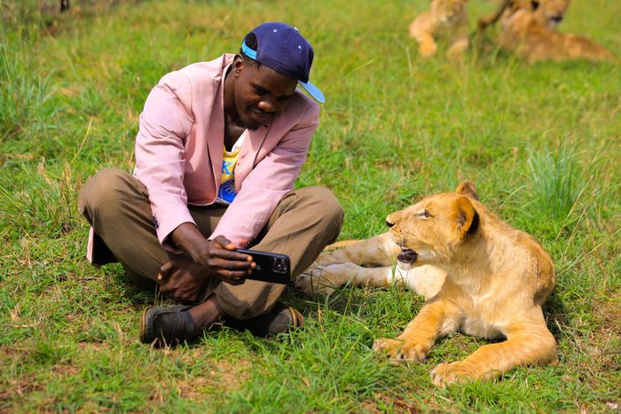 Source Garland watching Netflix with a lion.