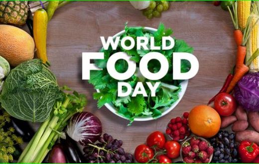 World Food Day 2024 [DailyTrust]