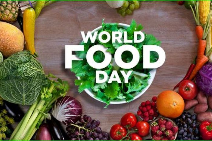 World Food Day 2024 [DailyTrust]