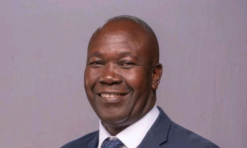 Onapito Ekomoloit